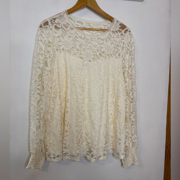 Torrid Ivory Romantic Mesh and Lace Victorian Feminine Top - Picture 3 of 9